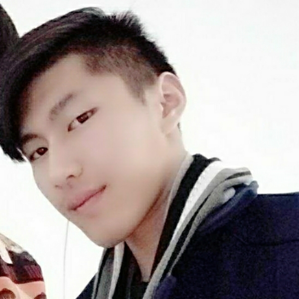 黑猫温柔的照片