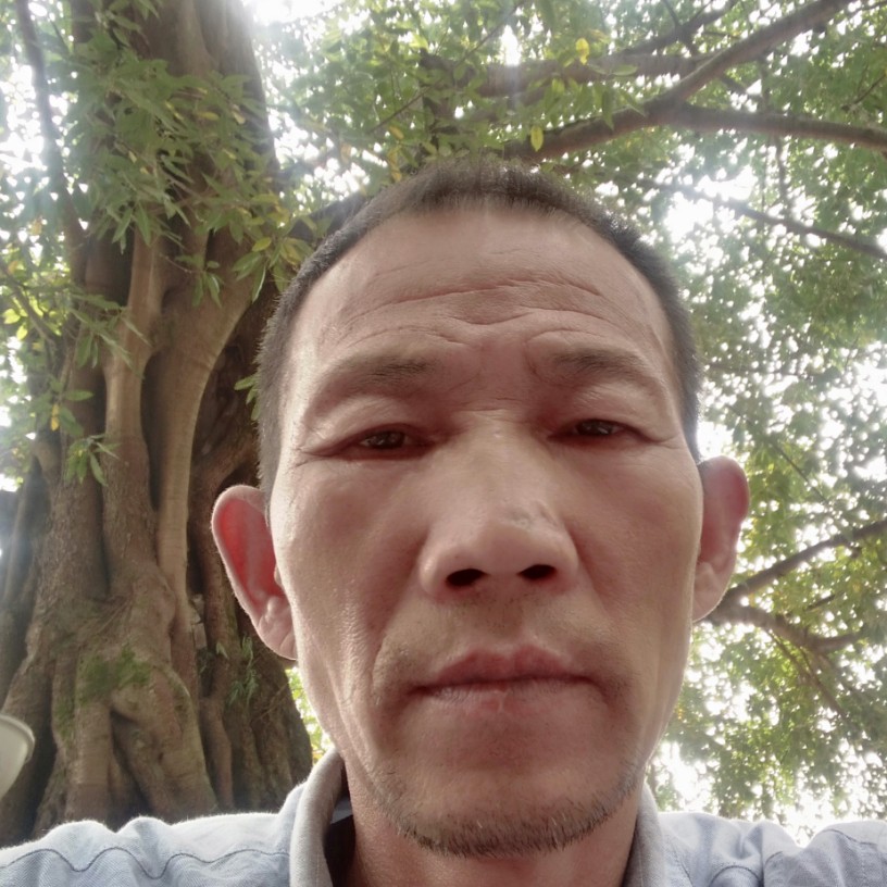 钢笔勤恳的照片