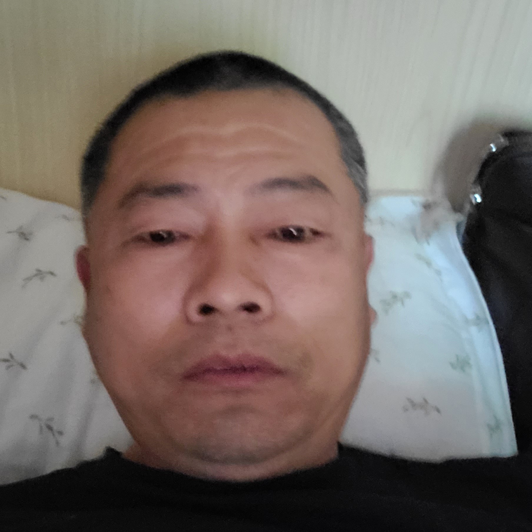 健康向蜗牛的照片