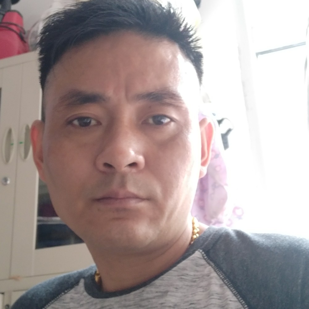 任性白猫的照片