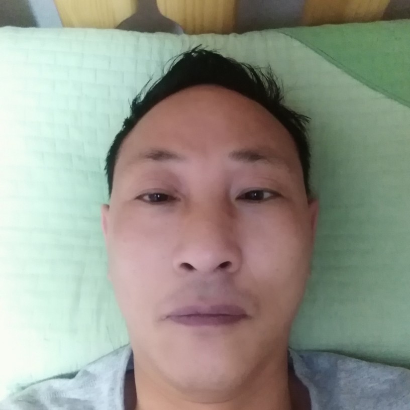 刺猬笑贪玩的照片