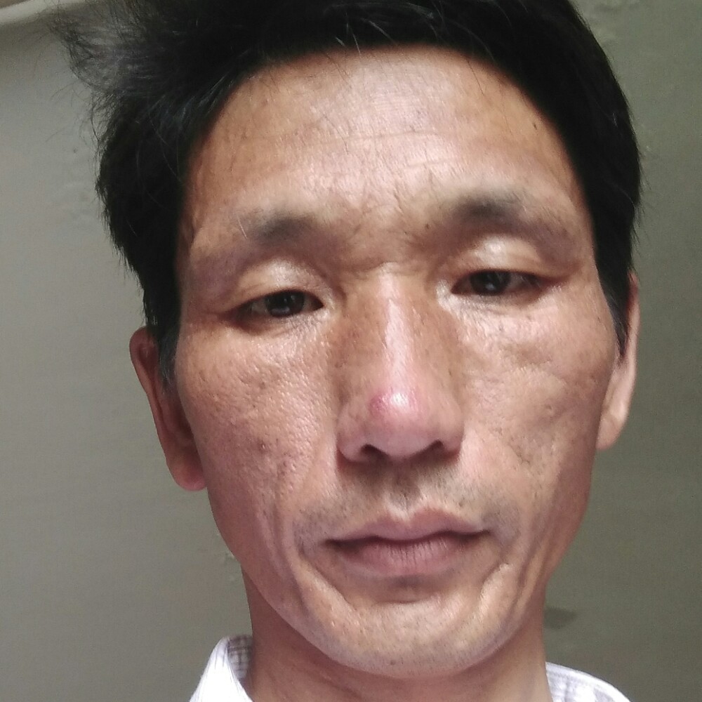 清秀老虎的照片