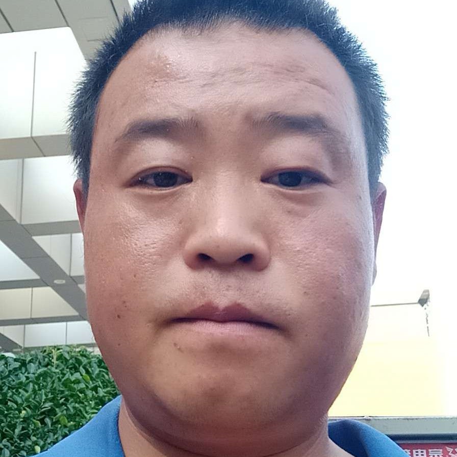 聪慧改变小天鹅的照片