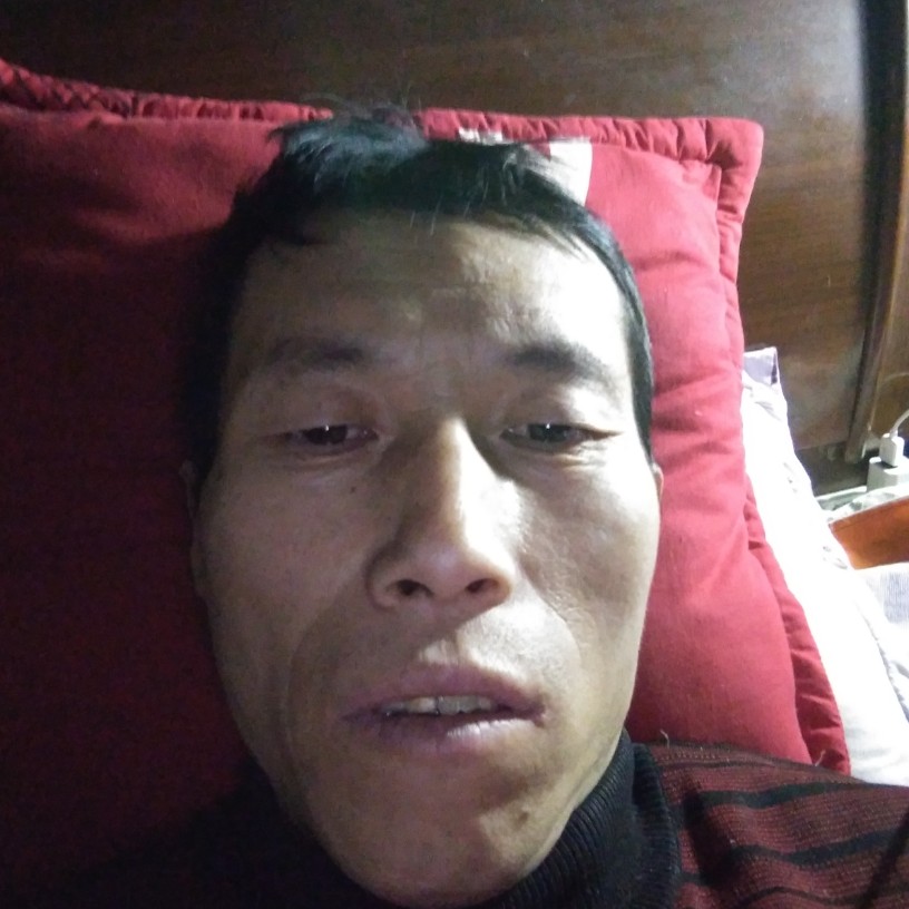友好灰狼的照片