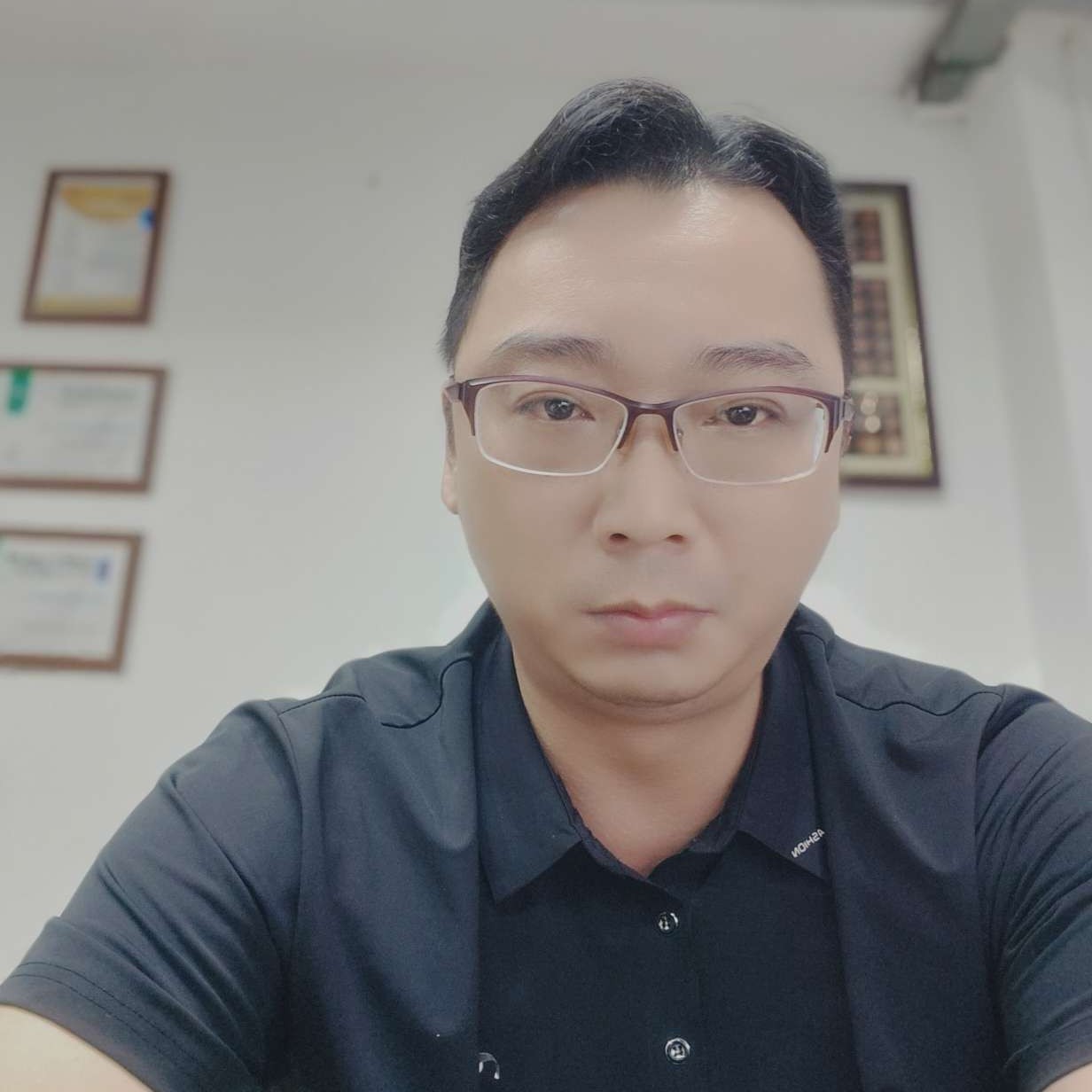 风怕孤独的照片