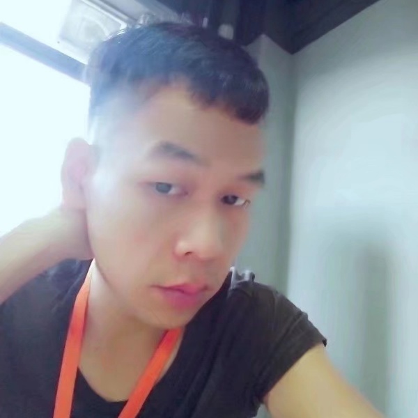 向日葵漫步追寻的照片