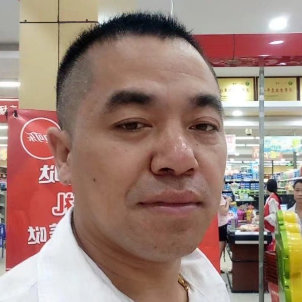 洁净凝眸猫咪的照片