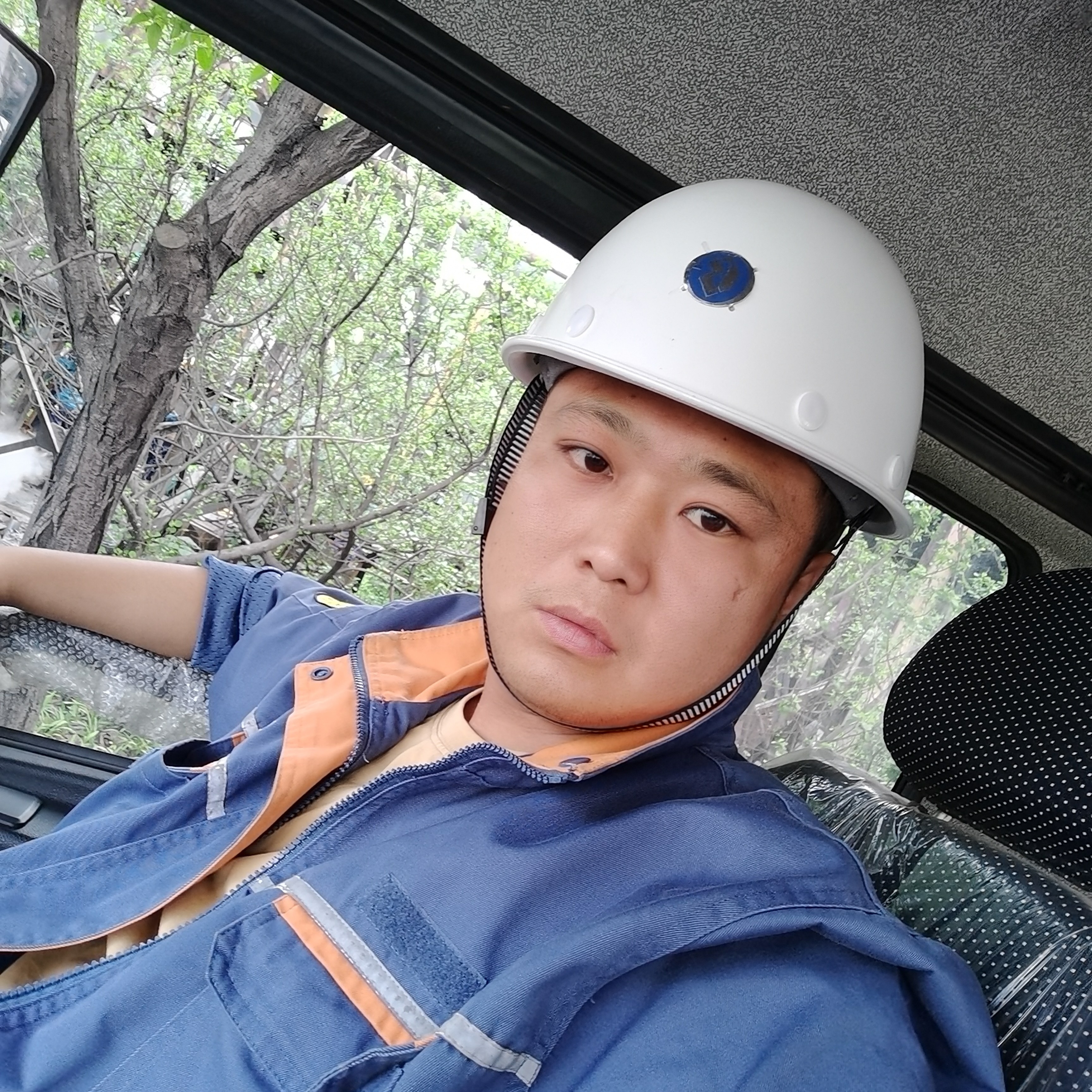 蜜蜂挽手搞怪的照片