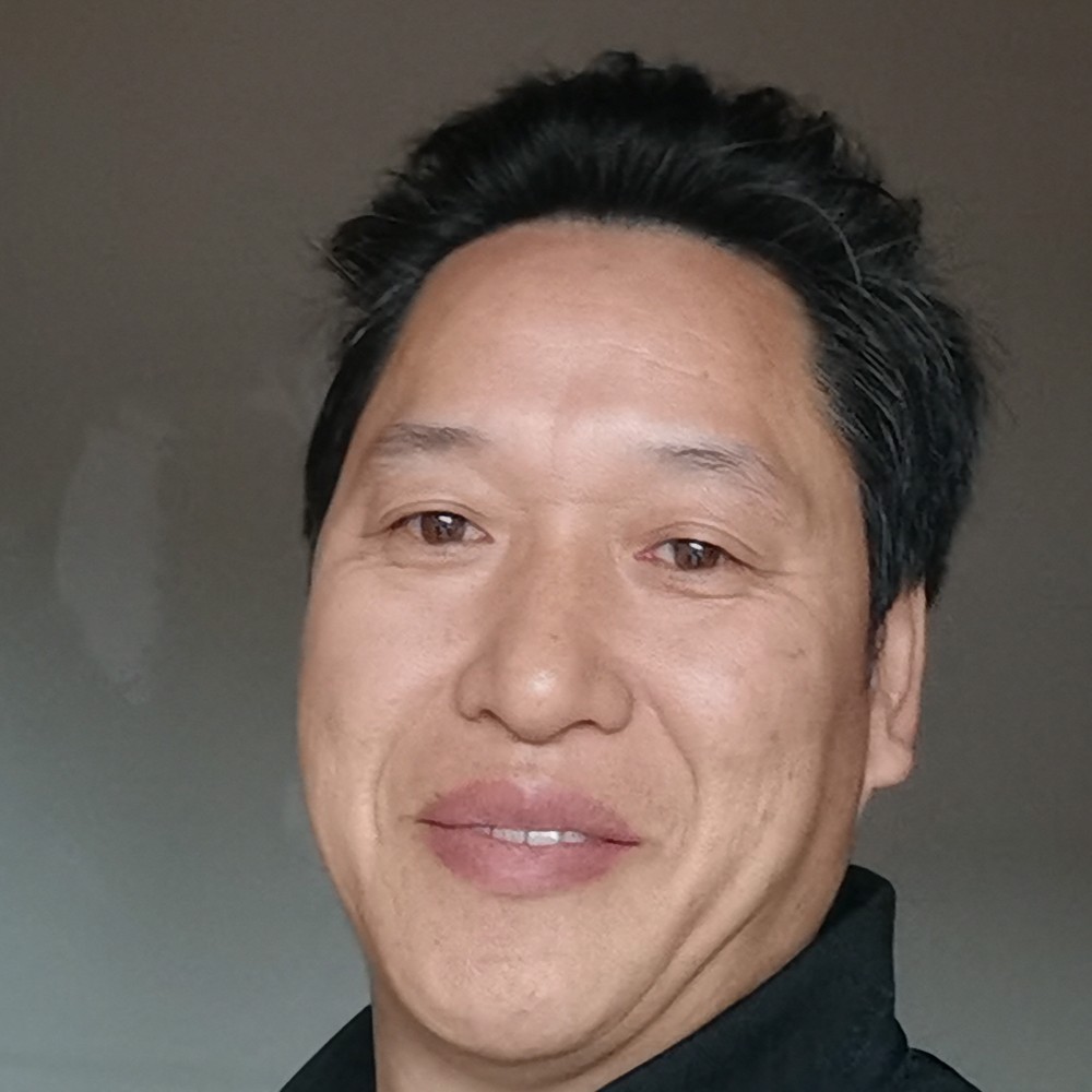 忧郁迎灰狼的照片