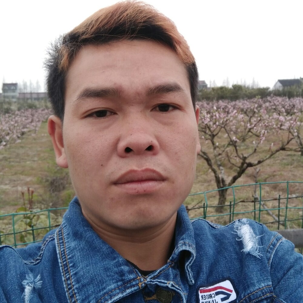 黄蜂倾心醉熏的照片