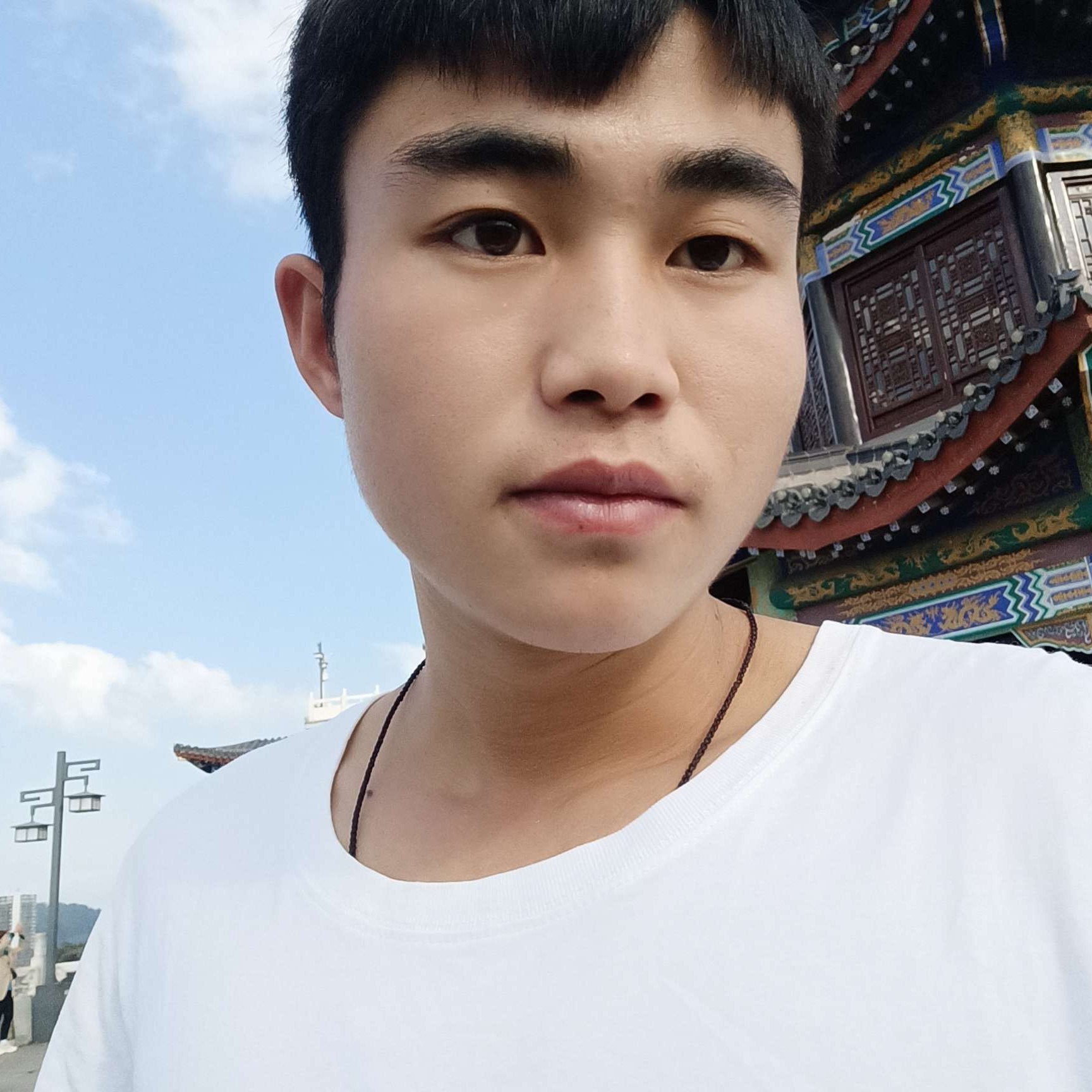 红牛闻虚幻的照片