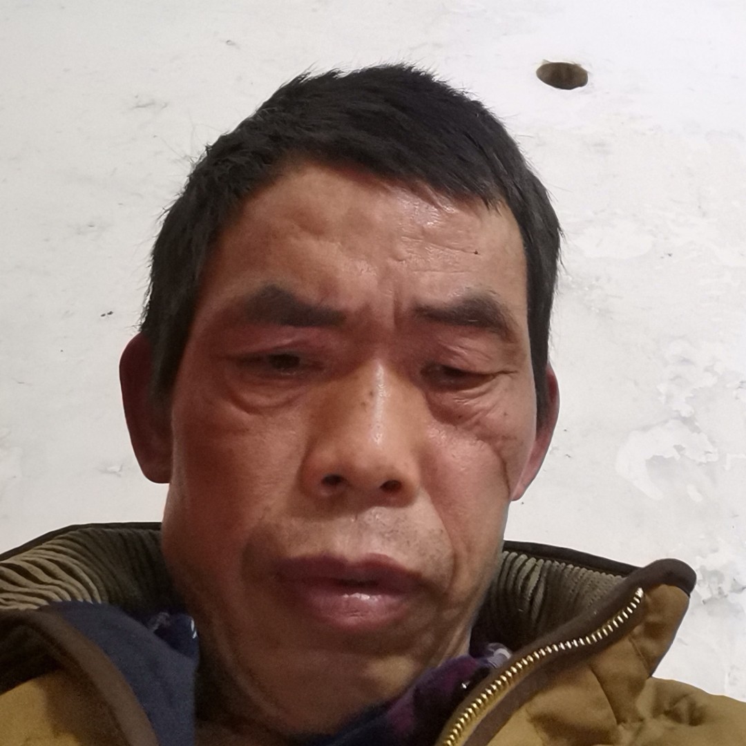 寒冷停止树叶的照片