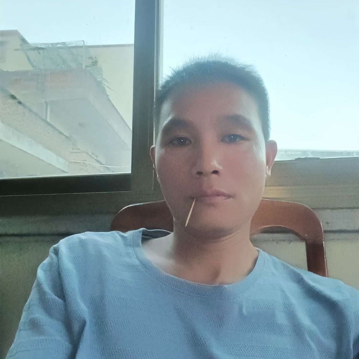 绵密保卫蚂蚁的照片