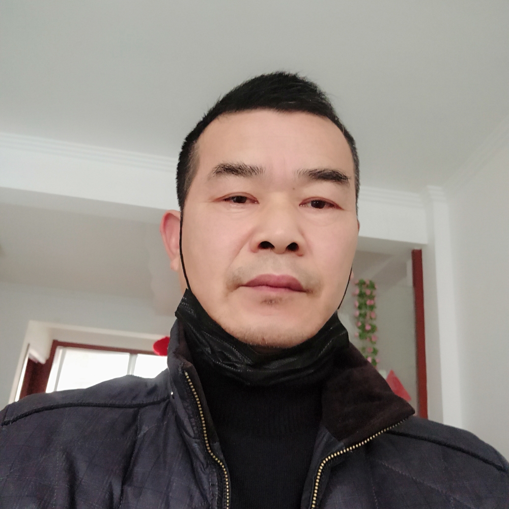 海地中的照片