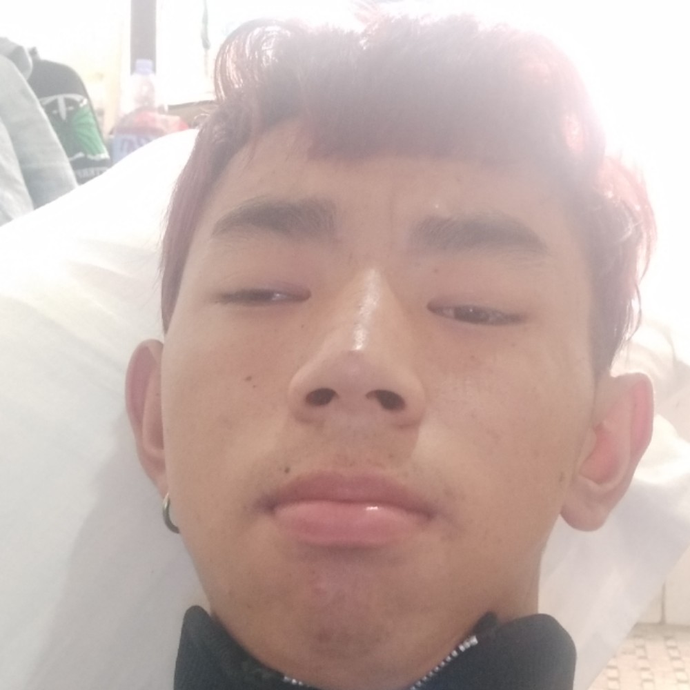 索性的照片