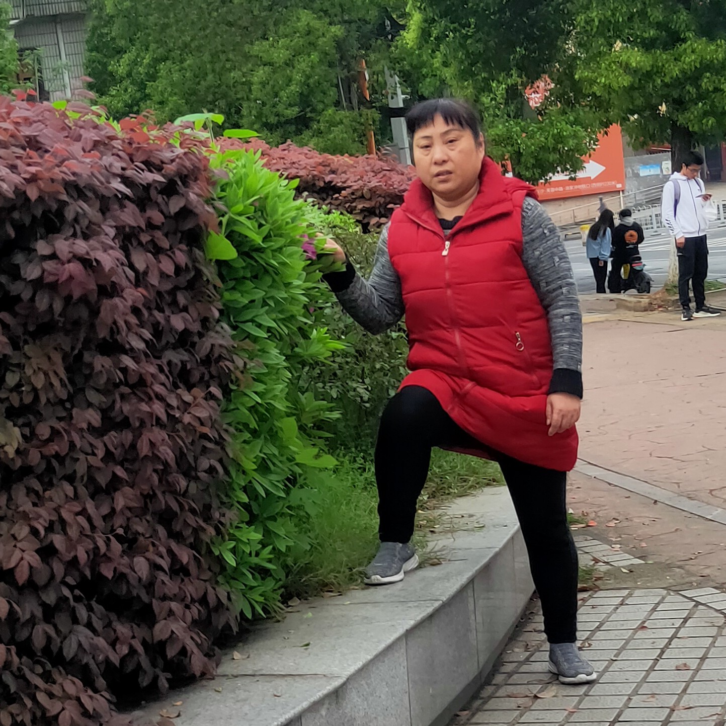会员977113656的照片