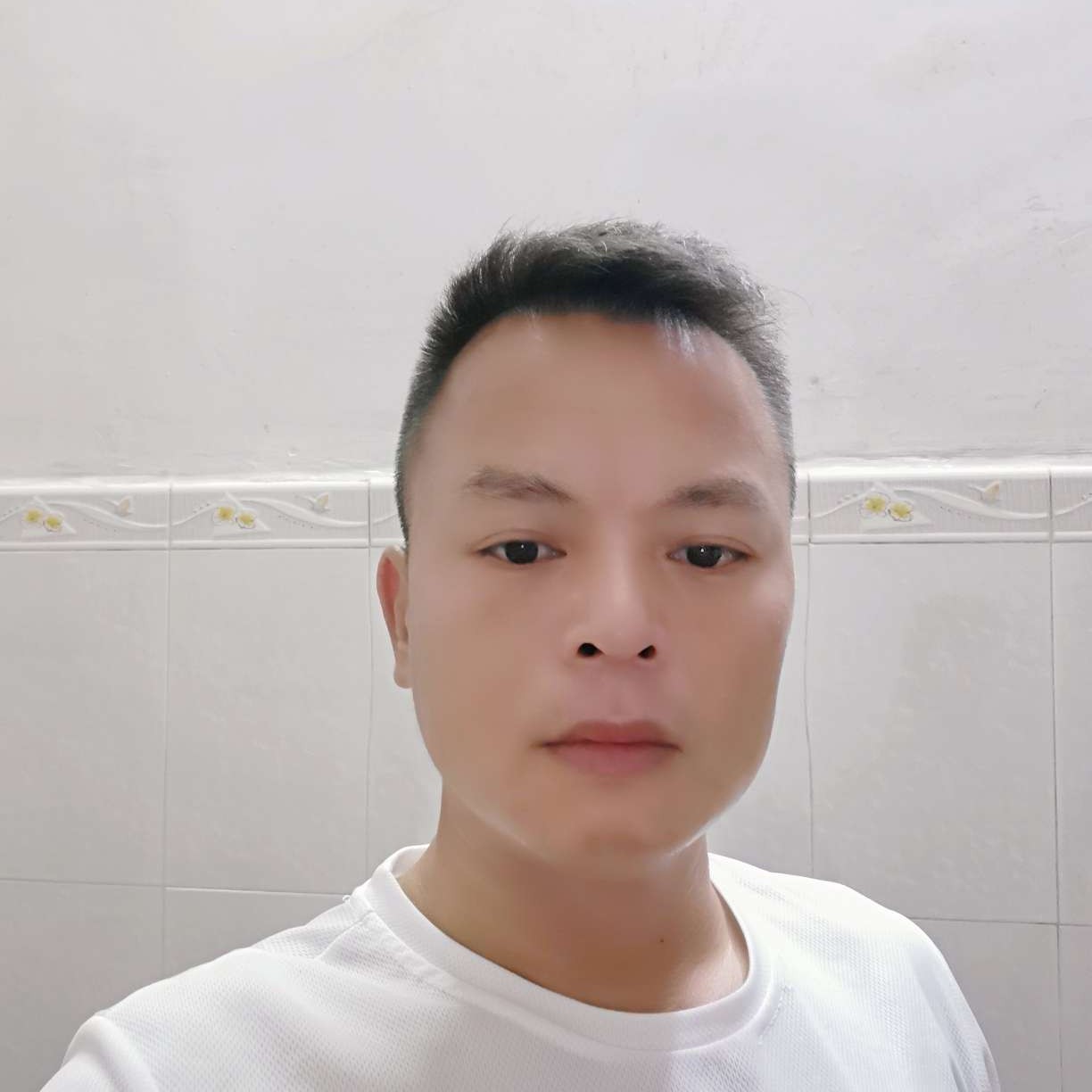 含羞草挽手美好的照片