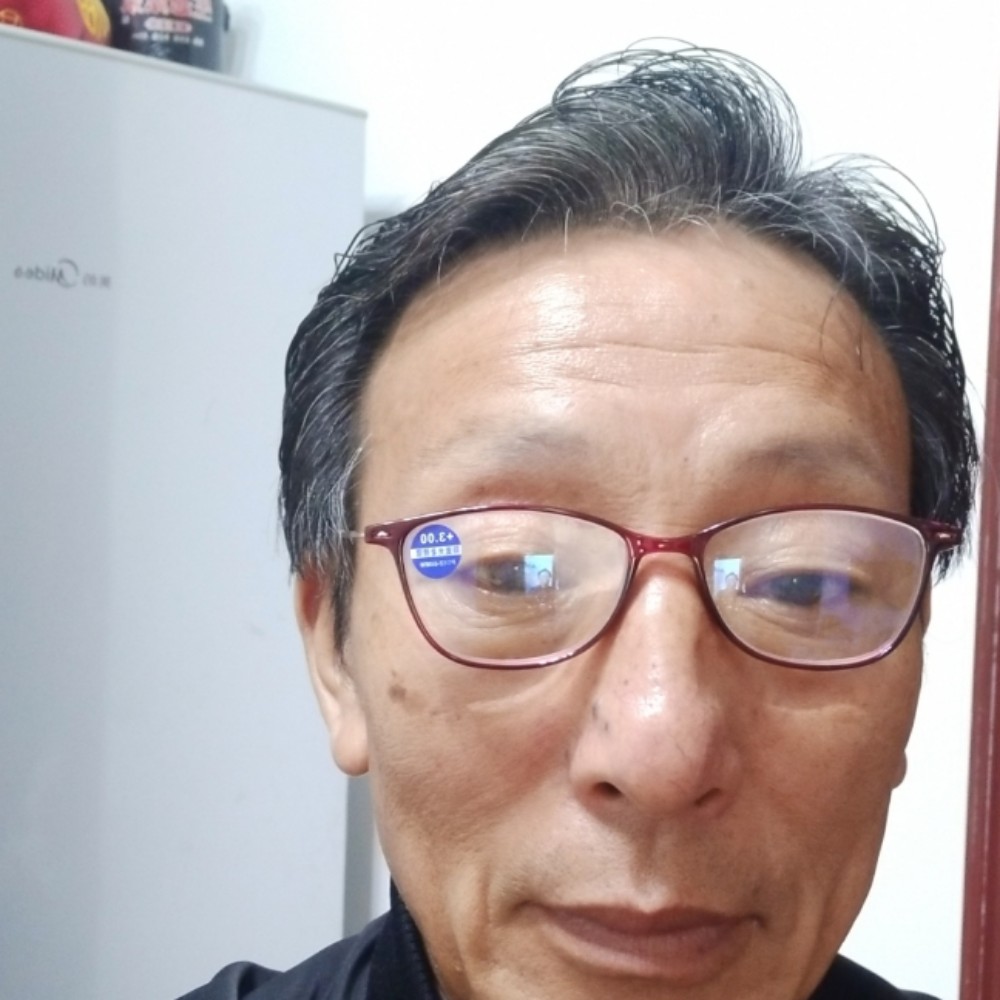 善良那大象的照片