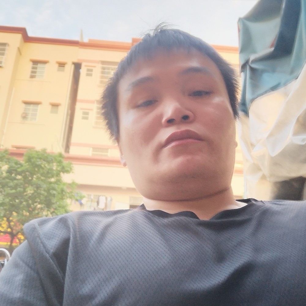 黄蜂懵懂的照片