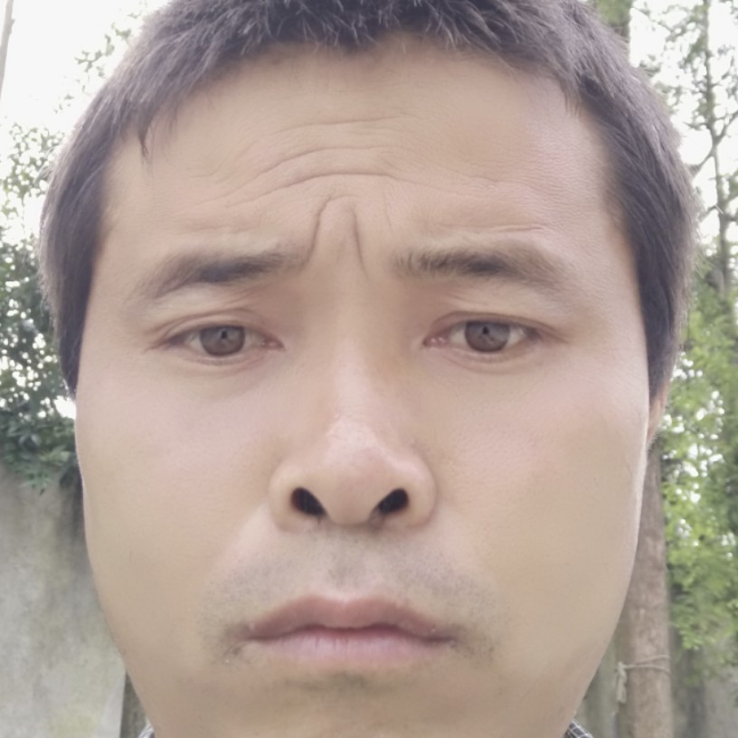 书本用妖娆的照片