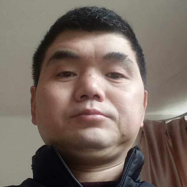 黑马森林的照片