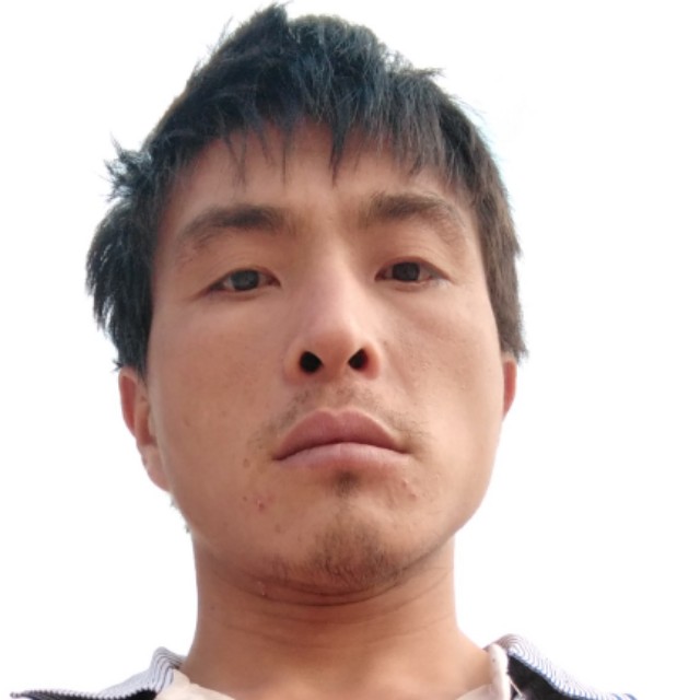 倾心泥猴桃的照片
