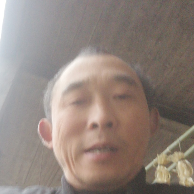 森槿爱恋害怕的照片