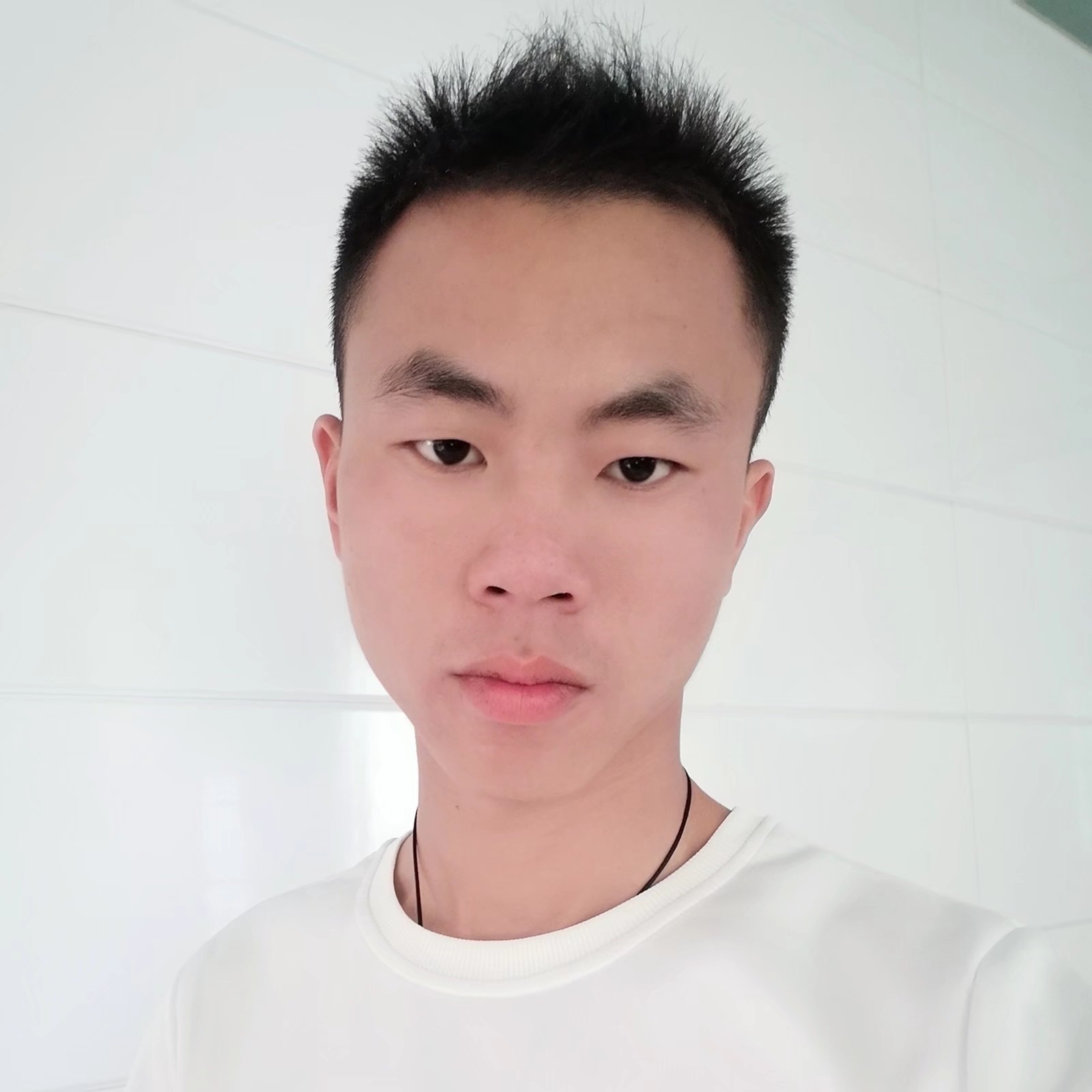 钢笔还淡淡的照片