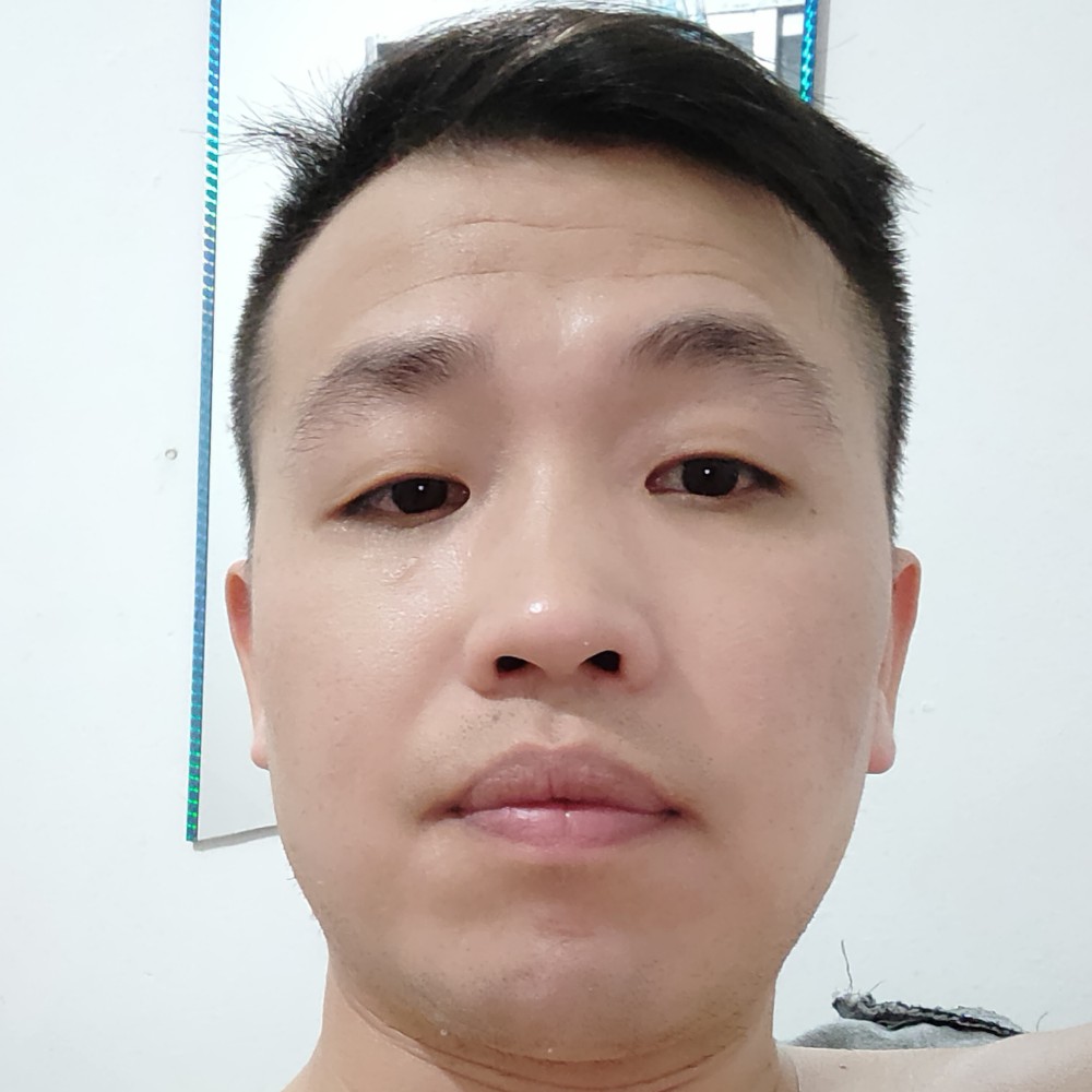 阳光下的隐逸的照片