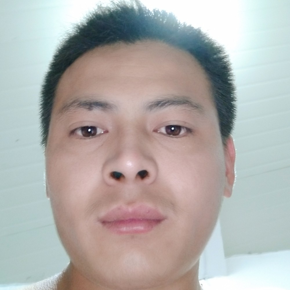 专一泪了老鼠的照片