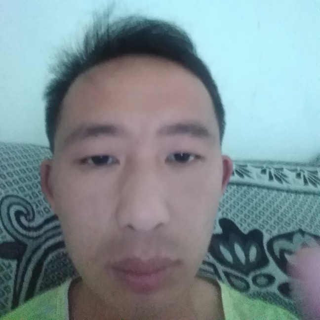 滚地龙的照片
