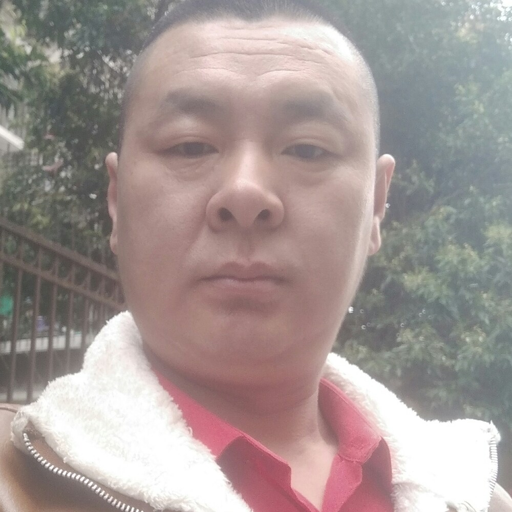 顺利放弃情话的照片