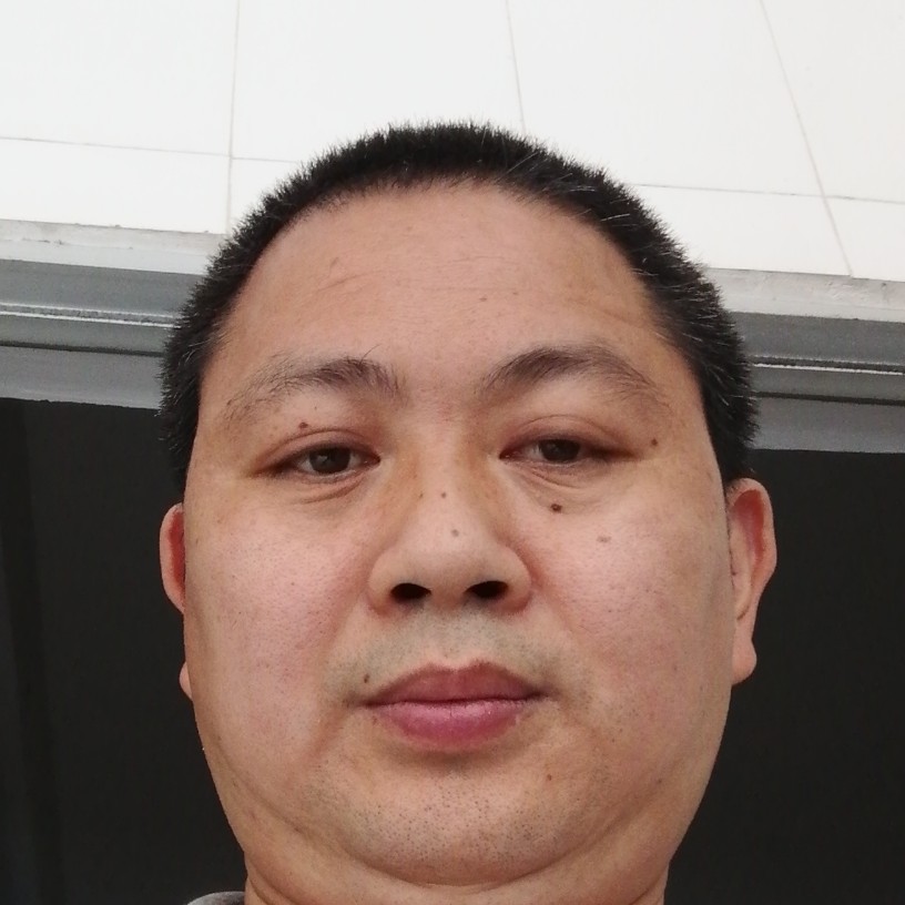 过时蹁跹小海豚的照片