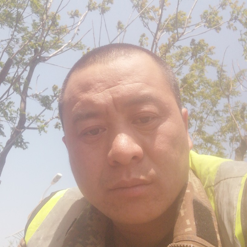 标致的小松鼠的照片