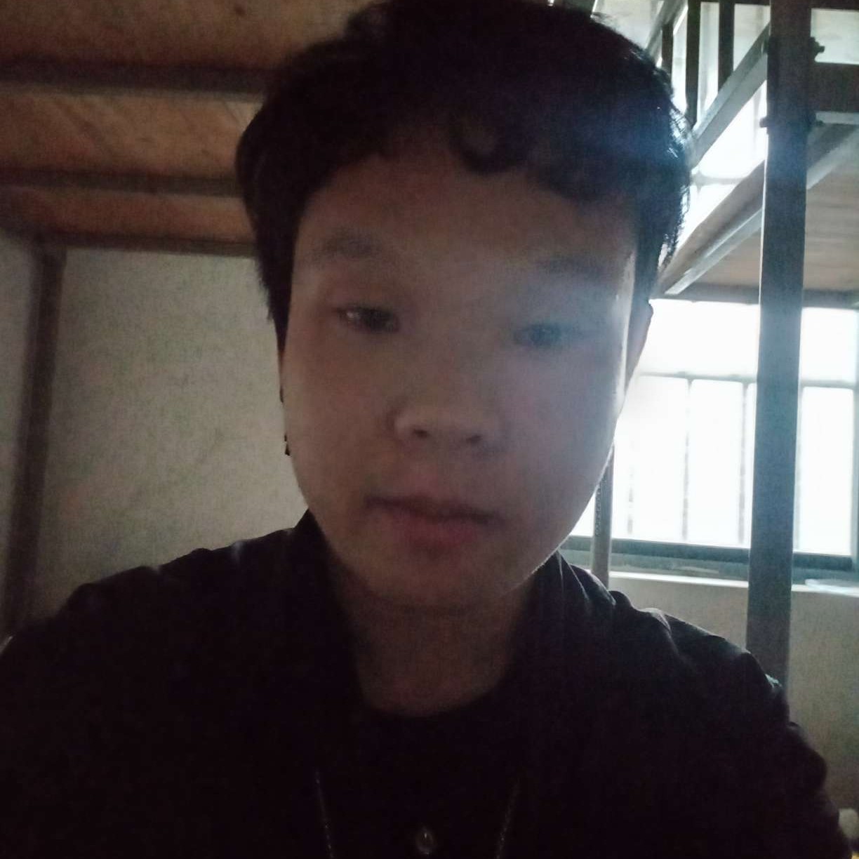 魁梧回首鱼的照片