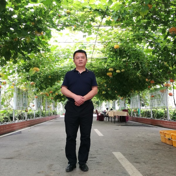 懦弱多么断夏的照片