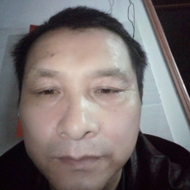 无心愿蚂蚁的照片