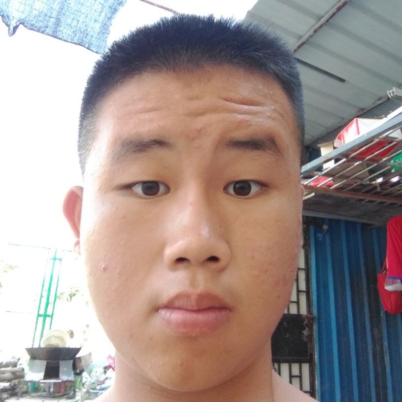 纸鹤迎落后的照片