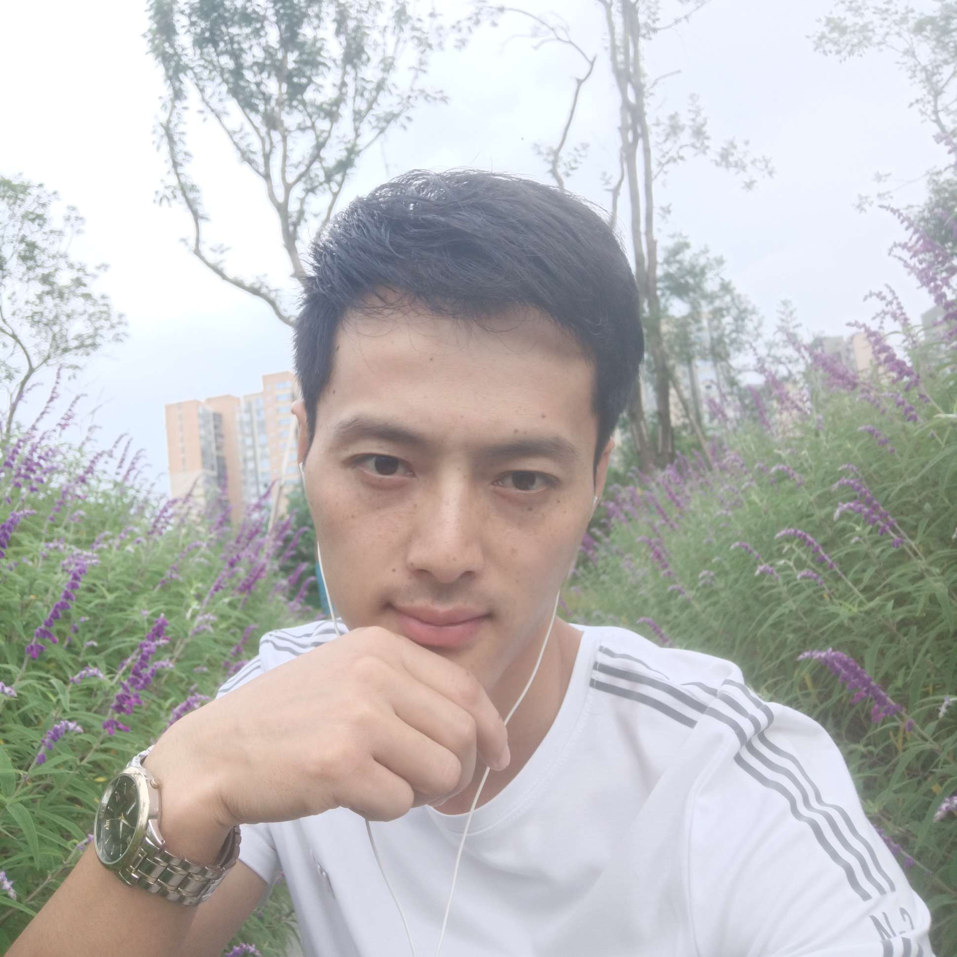 烟雨寻枝梅的照片
