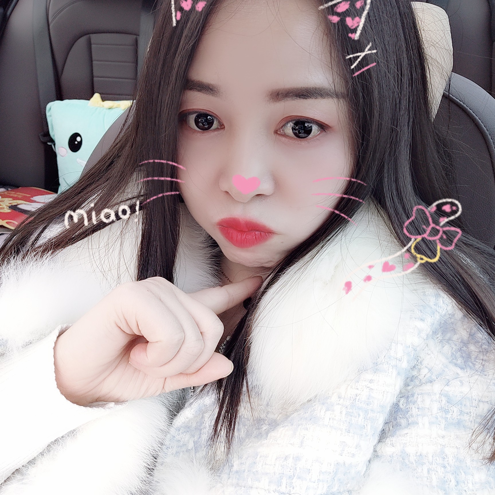 丢了幸福的猪的照片