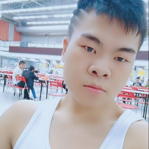 曾经的笨蛋的照片