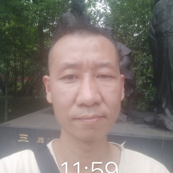 优秀演变狗的照片