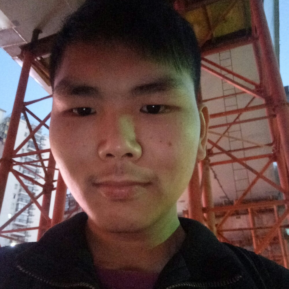 断翅的天的照片