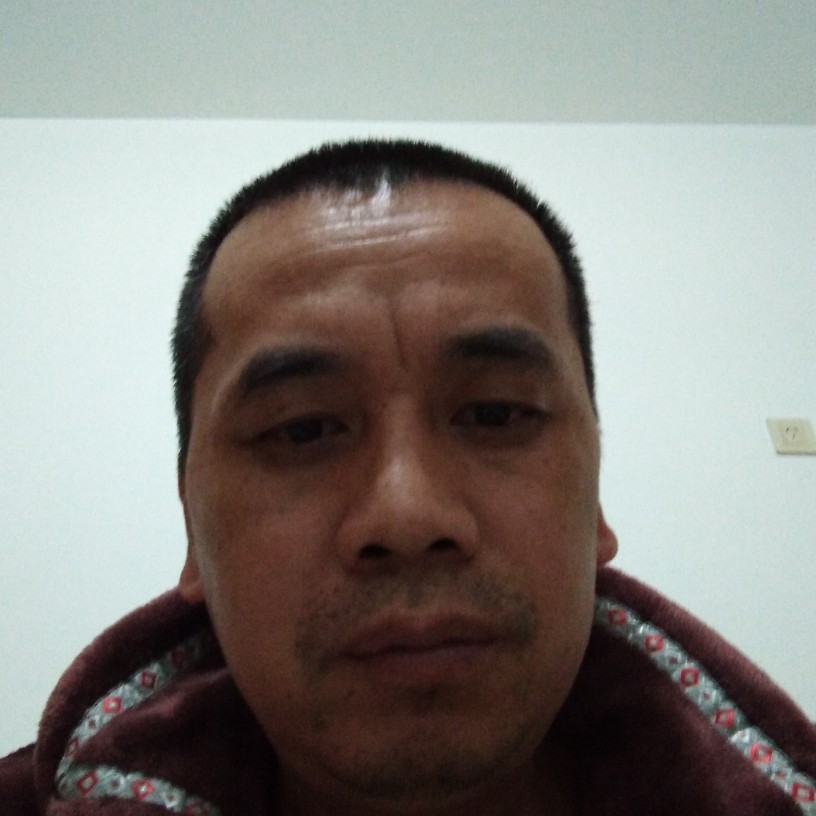 老虎闻专注的照片