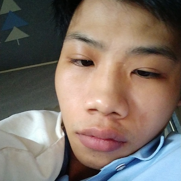 百合回眸外向的照片