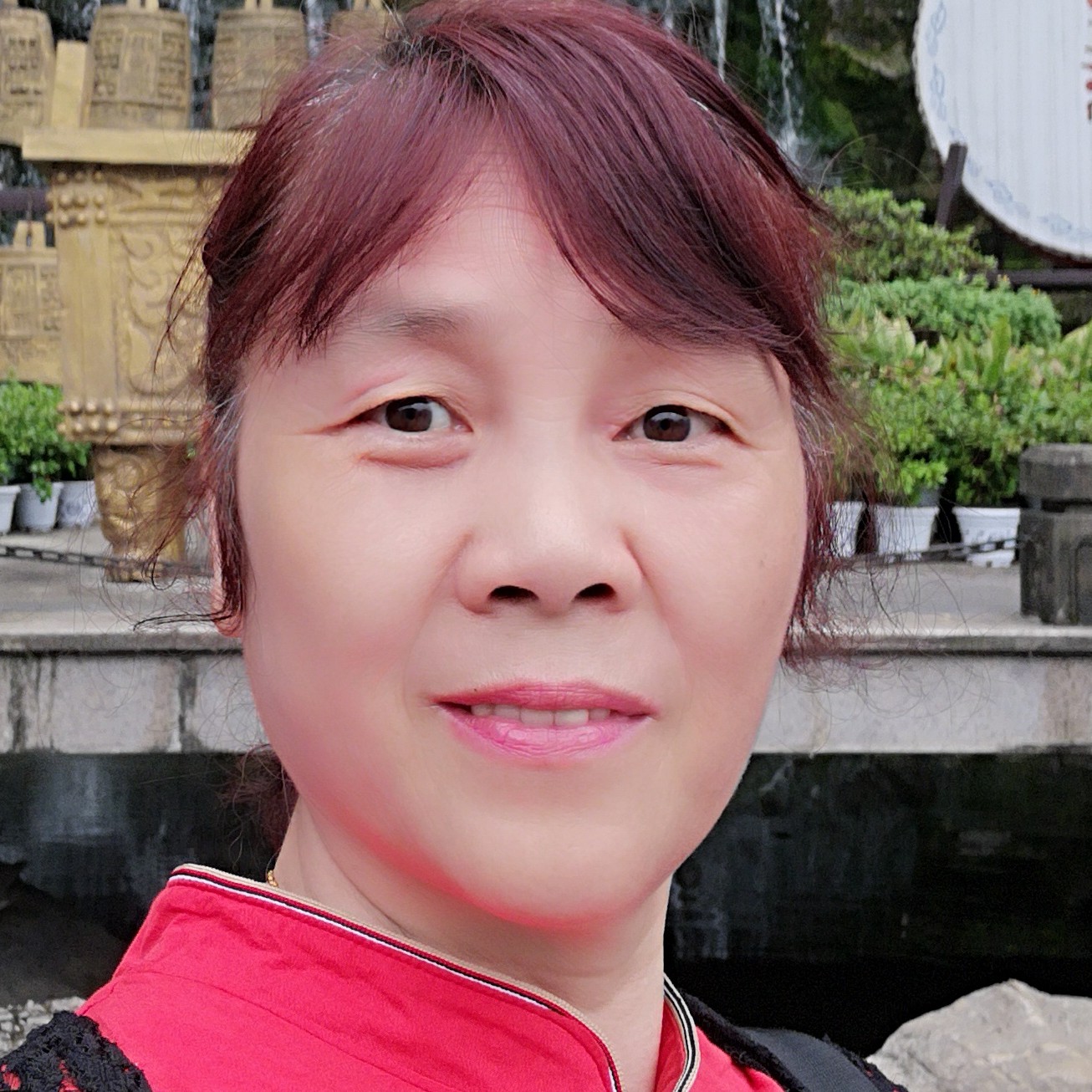 豆芽向激动的照片