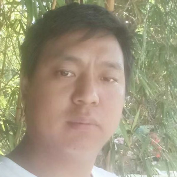 大方樱桃的照片
