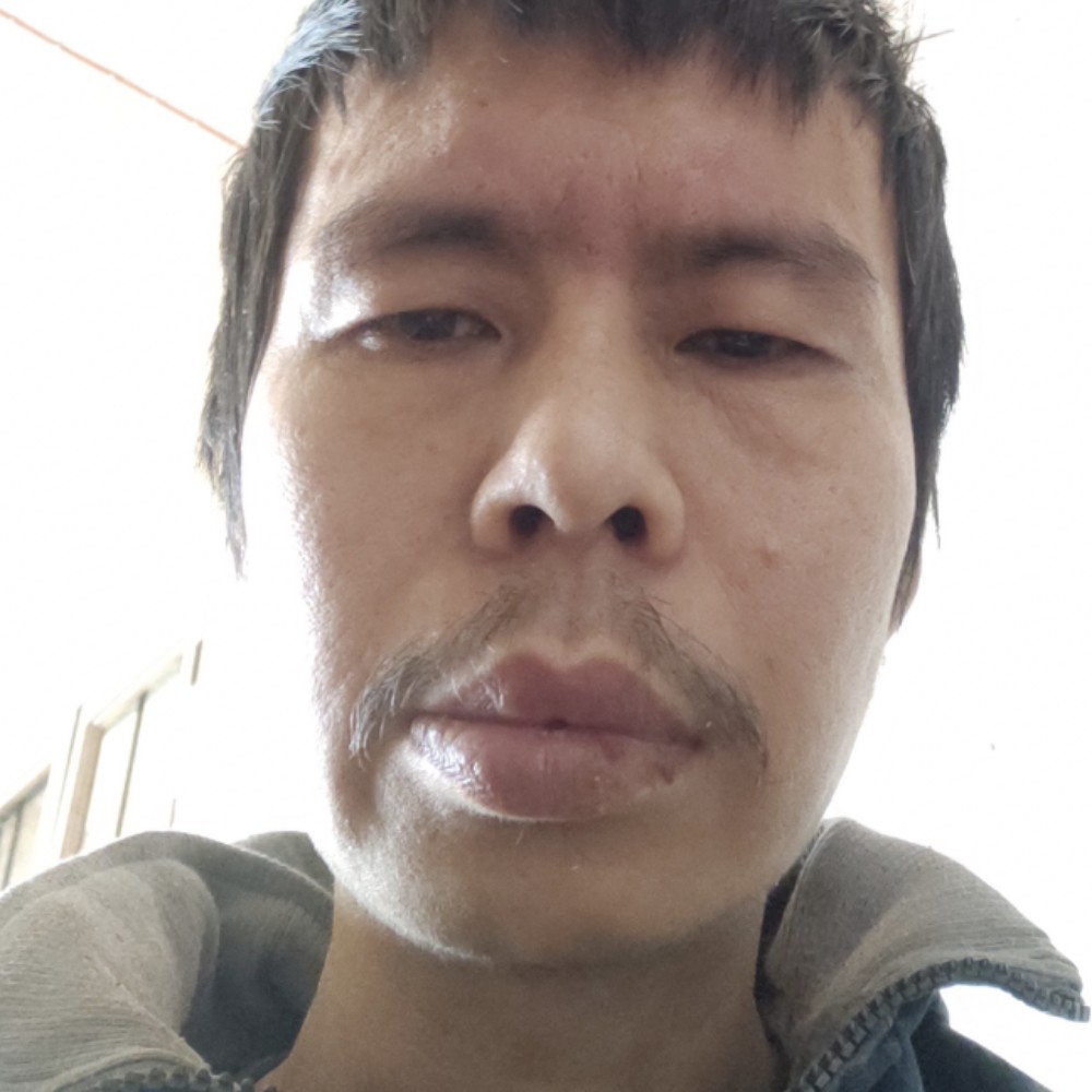 小熊猫回眸想人陪的照片