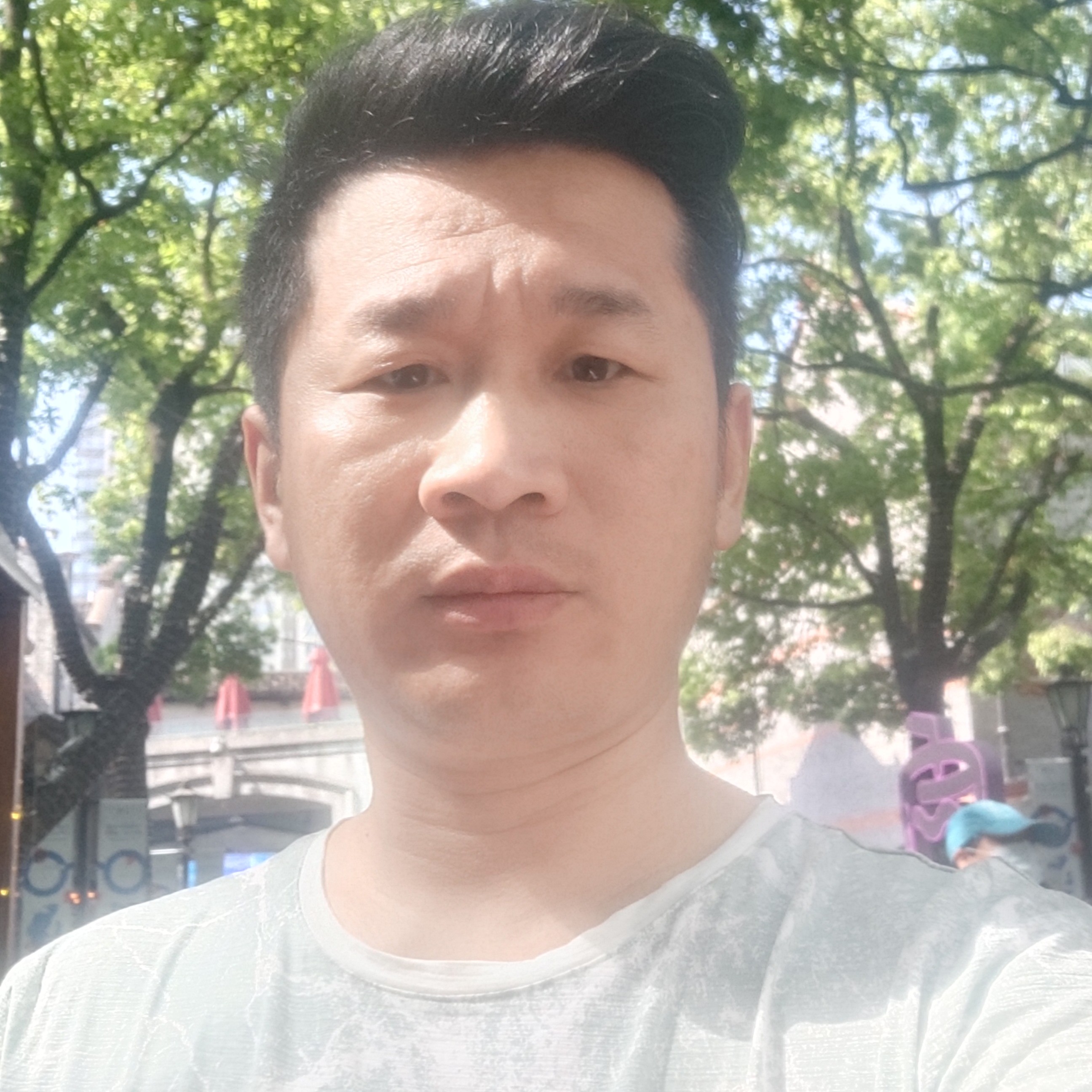 树叶深拥长情的照片