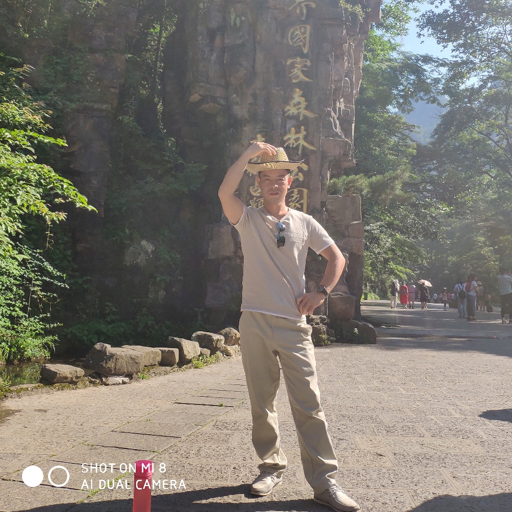 认真的狗的照片